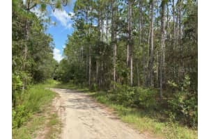 0000 39TH STREET, DUNNELLON, FL 34432 - MLS#MFROM713670