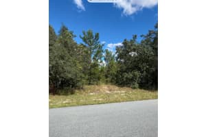 TBD SW 166TH STREET, OCALA, FL 34473 - MLS#MFROM713769