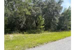 MLS# MFROM713803, Ocala, Florida 34473