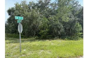 MLS# MFROM713803, Ocala, Florida 34473