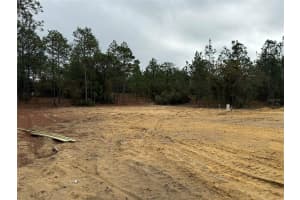 6587 209TH AVENUE, DUNNELLON, FL 34431 - MLS#MFROM713806