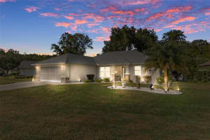 3501 CHANDLER DRIVE, HERNANDO, FL 34442 - MLS#MFROM713838