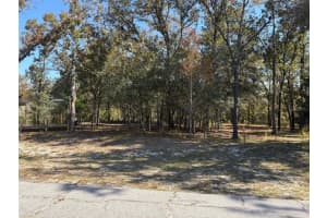 10079 RUTH TERRACE, CITRUS SPRINGS, FL 34434 - MLS#MFROM713875