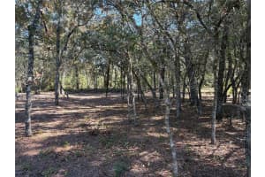 10079 RUTH TERRACE, CITRUS SPRINGS, FL 34434 - MLS#MFROM713875