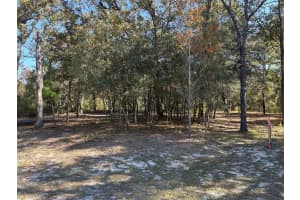 10079 RUTH TERRACE, CITRUS SPRINGS, FL 34434 - MLS#MFROM713875