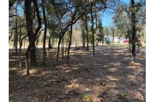 10079 RUTH TERRACE, CITRUS SPRINGS, FL 34434 - MLS#MFROM713875