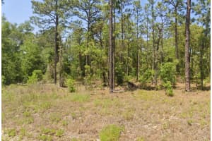 TBD HEMLOCK AVENUE, DUNNELLON, FL 34431 Sold 03/27/26