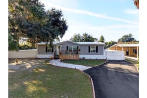 15068 105TH AVENUE, SUMMERFIELD, FL 34491 - MLS#MFROM713899