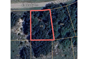 576 ABADY LANE, DUNNELLON, FL 34434 - MLS#MFROM713974