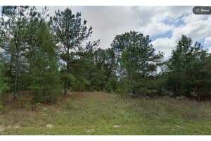 576 ABADY LANE, DUNNELLON, FL 34434 - MLS#MFROM713974