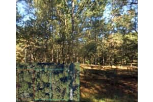 0 SW 12 PLACE, OCALA, FL 34481 - MLS#MFROM713985