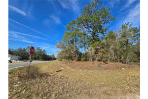 6434 BAYLOR TERRACE, CITRUS SPRINGS, FL 34433 Sold 02/04/26