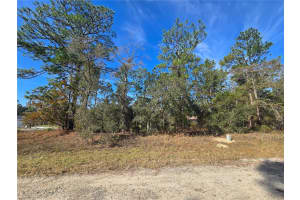 6434 BAYLOR TERRACE, CITRUS SPRINGS, FL 34433 Sold 02/04/26