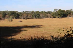 8340 35TH AVENUE, OCALA, FL 34476 - MLS#MFROM714003