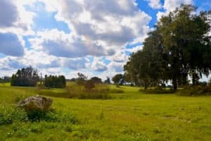 11750 22ND AVE ROAD, OCALA, FL 34473 - MLS#MFROM714004
