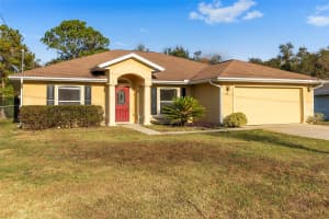 49 REDWOOD TRACK COURSE, OCALA, FL 34472 - MLS#MFROM714006