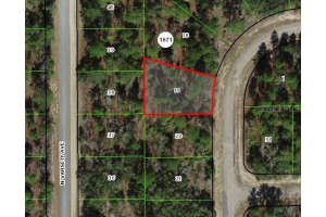 1947 SKYLINE DRIVE, CITRUS SPRINGS, FL 34434 - MLS#MFROM714010