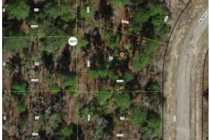 1947 SKYLINE DRIVE, CITRUS SPRINGS, FL 34434 - MLS#MFROM714010
