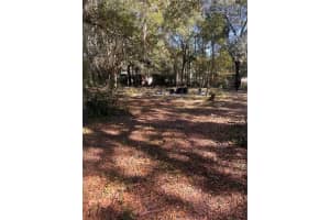 2215 8TH AVENUE, GAINESVILLE, FL 32641 - MLS#MFROM714047