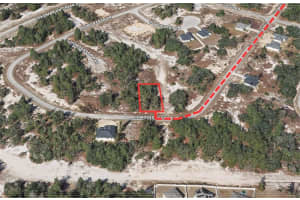 1333 HOMOSASSA DRIVE, KISSIMMEE, FL 34759 - MLS#MFROM714063