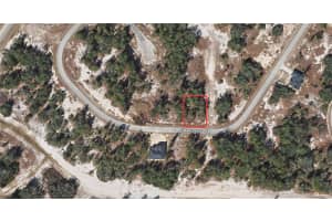 1333 HOMOSASSA DRIVE, KISSIMMEE, FL 34759 - MLS#MFROM714063