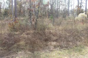 00 GERANIUM AVENUE, DUNNELLON, FL 34431 - MLS#MFROM714099