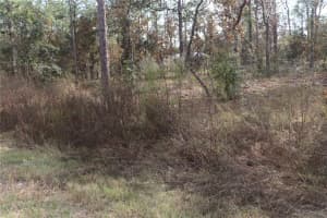 00 GERANIUM AVENUE, DUNNELLON, FL 34431 - MLS#MFROM714099