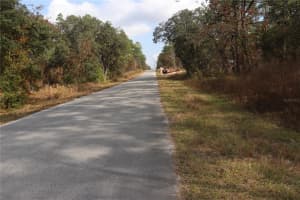 00 GERANIUM AVENUE, DUNNELLON, FL 34431 - MLS#MFROM714099