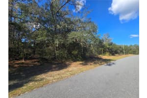 11370 ORTEGA POINT, DUNNELLON, FL 34433 - MLS#MFROM714120