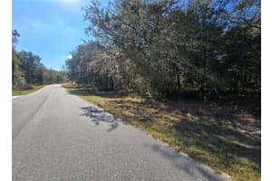 11370 ORTEGA POINT, DUNNELLON, FL 34433 - MLS#MFROM714120