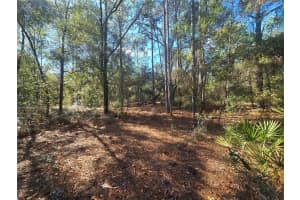 11370 ORTEGA POINT, DUNNELLON, FL 34433 - MLS#MFROM714120