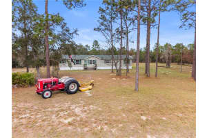 12251 66TH PLACE, MORRISTON, FL 32668 - MLS#MFROM714125