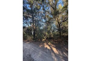 SW 148TH CT 32ND PLACE, OCALA, FL 34481 - MLS#MFROM714155