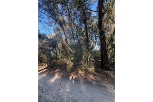 SW 148TH CT 32 ND PLACE, OCALA, FL 34481 - MLS#MFROM714157