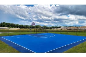 15916 101ST CIRCLE, SUMMERFIELD, FL 34491 - MLS#MFROM714173