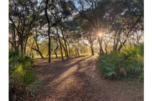 11064 212TH LANE, FORT MC COY, FL 32134 - MLS#MFROM714184