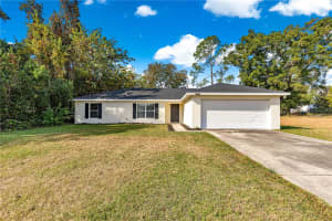 13664 41ST COURT, SUMMERFIELD, FL 34491 - MLS#MFROM714187