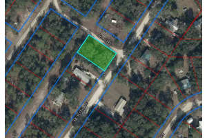 15950 4TH PLACE, WILLISTON, FL 32696 - MLS#MFROM714204