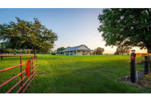 3650 165TH AVENUE, MORRISTON, FL 32668 - MLS#MFROM714240