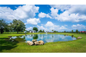 3650 165TH AVENUE, MORRISTON, FL 32668 - MLS#MFROM714240