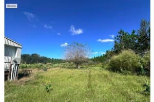 565 DAISY ROAD, LAKE CITY, FL 32024 - MLS#MFROM714246