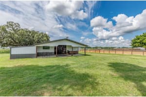 1177 102ND BOULEVARD, WILDWOOD, FL 34785 - MLS#MFROM714267