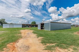 1177 102ND BOULEVARD, WILDWOOD, FL 34785 - MLS#MFROM714267