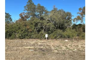 0 165TH LOOP, OCALA, FL 34473 Sold 03/24/26