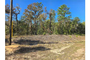 11136 VESTA POINT, DUNNELLON, FL 34434 Sold 02/20/26