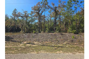 11136 VESTA POINT, DUNNELLON, FL 34434 Sold 02/20/26