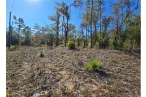 11136 VESTA POINT, DUNNELLON, FL 34434 Sold 02/20/26