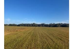 TBD 100TH STREET, OCALA, FL 34475 - MLS#MFROM714295