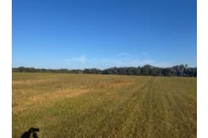 TBD 100TH STREET, OCALA, FL 34475 - MLS#MFROM714295