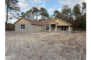 8669 138TH TERRACE, DUNNELLON, FL 34432 - MLS#MFROM714341